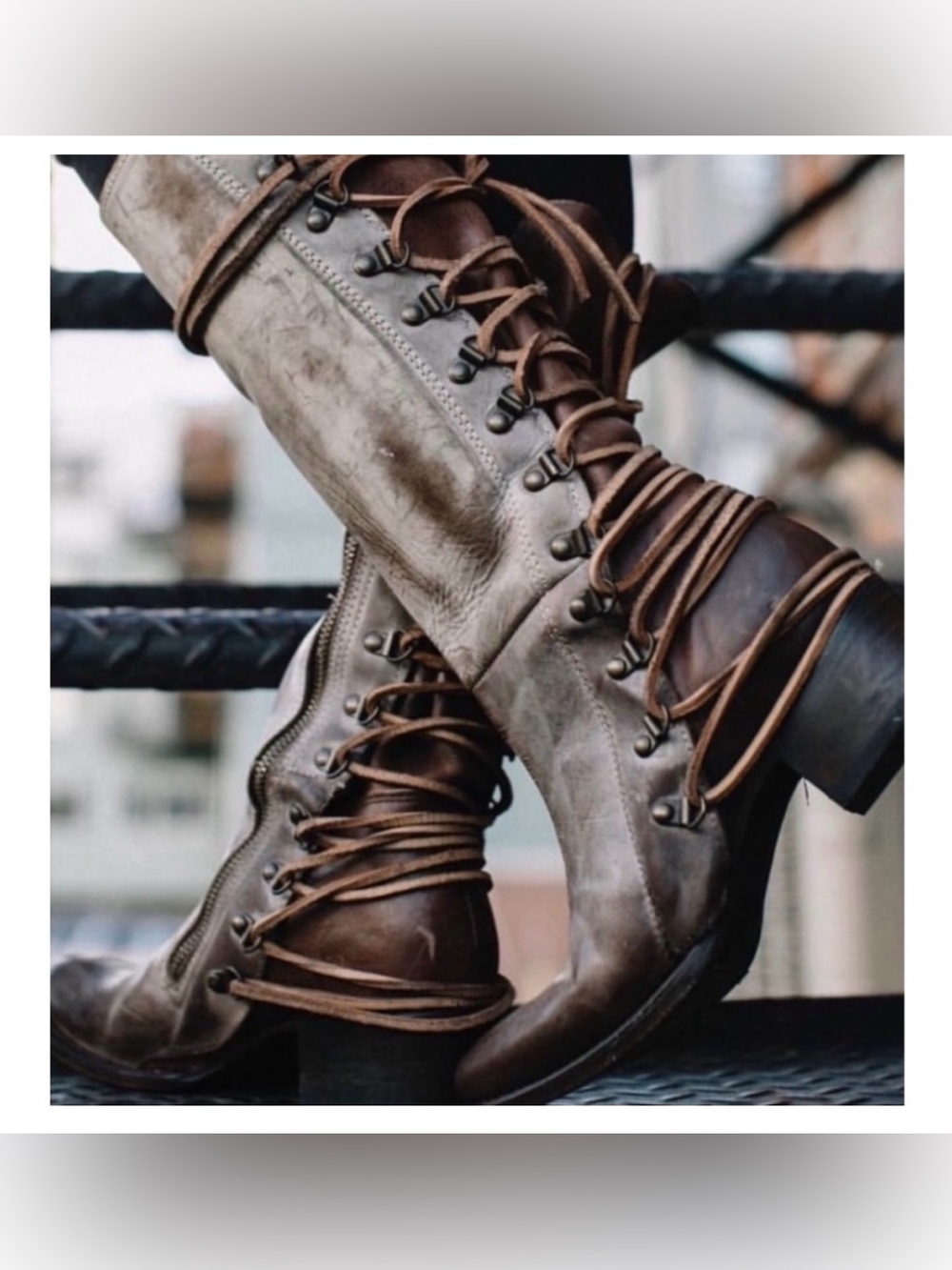 Freebird by Steven Reese tall boots with back laces Stone 8